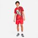 Шорты Nike M Club Wvn Lnd Flow Short DM6829-657 цена