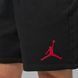 Мужские шорты JORDAN M J JUMPMAN FLC SHORT 2 IR0335-010 цена