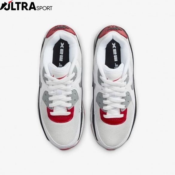 Кросівки Nike Air Max 90 Ltr (Gs) CD6864-019 ціна