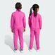 Спортивный костюм детский AOP Track Suit Kids JW2842 цена