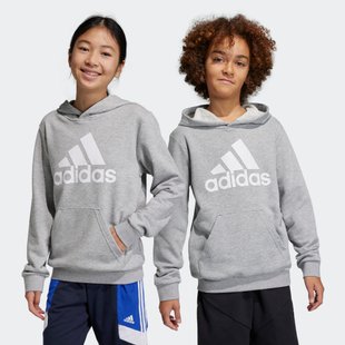 Худи Big Logo Essentials Cotton Sportswear IC6835 цена