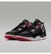 Чоловічі кросівки JORDAN SPIZIKE LOW FQ1759-009 ціна