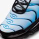 Кросівки Nike Air Max Plus FQ0204-010 ціна