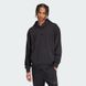 Худі чоловіче adidas ALL SZN IX1253 ціна