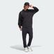 Худі чоловіче adidas ALL SZN IX1253 ціна