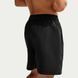 Мужские шорты NIKE DRI-FIT IF2996-010 цена