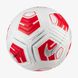 Мяч Nike Nk Strk Team 290G - Sp21 CU8062-100 цена