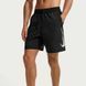 Мужские шорты NIKE DRI-FIT IF2996-010 цена