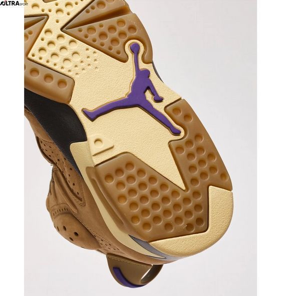 Кросівки жіночі Air Jordan 6 Retro Gore-Tex FD1643-300 ціна