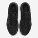 Кросівки Чоловічі Nike Air Max Sc () CW4555-003 ціна