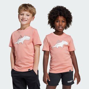 Детская футболка Adiraptor Graphic Kids Sportswear JD3439 цена