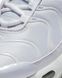 Кроссовки Nike Air Max Plus Gs CW7044-100 цена