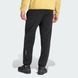 Спортивные брюки мужские Terrex Multi Essentials Fleece KE3444 цена