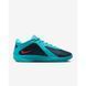 Кросівки чоловічі NIKE GIANNIS FREAK 6 FJ7792-300 ціна