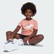 Детская футболка Adiraptor Graphic Kids Sportswear JD3439 цена