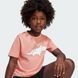 Детская футболка Adiraptor Graphic Kids Sportswear JD3439 цена