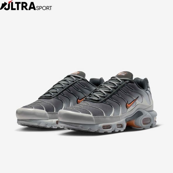 Кроссовки мужские Nike Air Max TN Plus DM0032-037 цена