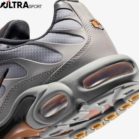 Кроссовки мужские Nike Air Max TN Plus DM0032-037 цена