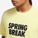 Футболка Nike M Nk Sb Tee Spring Break DX9457-706 ціна