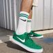 Кросівки NIKE SB CHRON 2 CANVAS DM3494-302 ціна