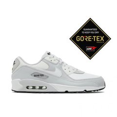 Кросівки Чоловічі Nike Air Max 90 Gtx () DJ9779-003 ціна
