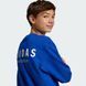 Світшот дитячий All SZN Graphic Crew Kids Sportswear JC7617 ціна