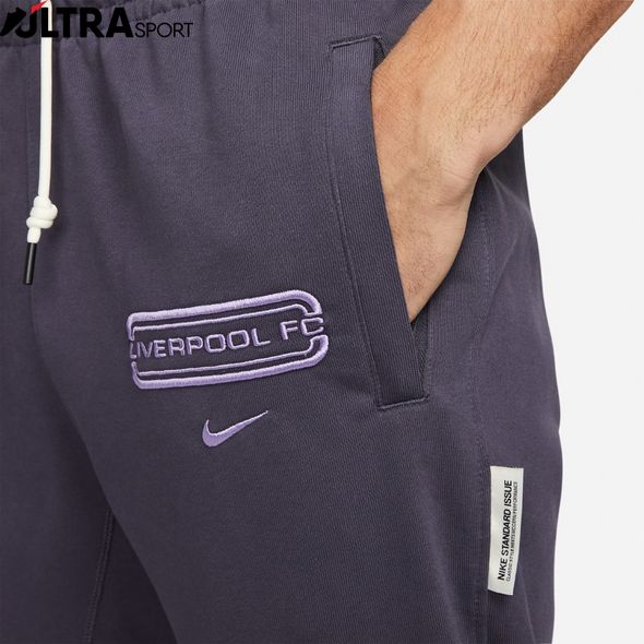 Брюки Nike Lfc Std Issue Pant DV4995-015 цена