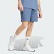 Шорты мужские Z.N.E. Premium Sportswear IR5220 цена