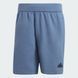 Шорты мужские Z.N.E. Premium Sportswear IR5220 цена