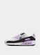 Кросівки жіночі NIKE WMNS AIR MAX 90 DH8010-103 ціна