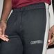 Мужские брюки CONVERSE CHUCK CB PANT CVM6B530-B4G цена