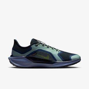 Кроссовки мужские Nike Air Zm Pegasus 41 Gtx FQ1356-006 цена