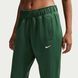 Жіночі штани NIKE SPORTSWEAR HJ1016-323 ціна