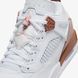 Кросівки чоловічі Air Jordan Spizike Low FQ1759-101 ціна
