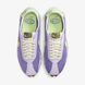 Чоловічі кросівки NIKE LD-1000 IB8121-527 ціна