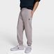 Чоловічі штани CONVERSE MENS KNIT TROUSERS CVM5B873-PYR ціна