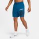 Чоловічі шорти Nike M Dri-Fit Form 7Ul Short Gx FN3283-476 ціна