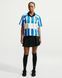 Женская юбка NIKE W NSW KNIFE PLEAT SKIRT IF0589-010 цена