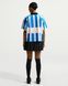 Женская юбка NIKE W NSW KNIFE PLEAT SKIRT IF0589-010 цена