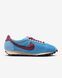 Кросівки жіночі NIKE LD-1000 IB3483-400 ціна