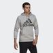 Флісове худі чоловіче Essentials Big Logo Sportswear GK9577 ціна
