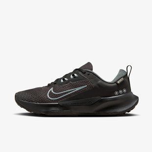 Жіночі кросівки Nike Wmns Juniper Trail 2 Gtx FB2065-001 ціна