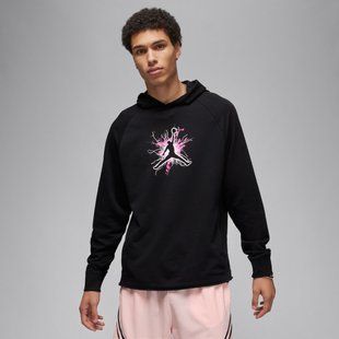 Мужская толстовка Jordan M Dri FN5812-010 цена