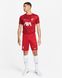 Шорти чоловічі Nike Liverpool Fc 23/24 Home Dri-Fit Stadium Shorts Red DX2714-687 ціна