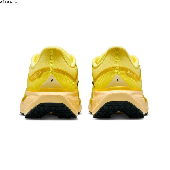 Кроссовки мужские Nike Air Zm Pegasus 41 Gtx FQ1356-700 цена
