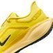 Кроссовки мужские Nike Air Zm Pegasus 41 Gtx FQ1356-700 цена