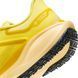Кроссовки мужские Nike Air Zm Pegasus 41 Gtx FQ1356-700 цена