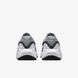 Кроссовки мужские Nike Revolution 8 HJ9198-004 цена