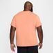 Футболка мужская Nike M Nk Dry Tee Dfc Crew Solid AR6029-844 цена