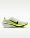Кроссовки мужские Nike Pegasus 42 IB1873-008 цена
